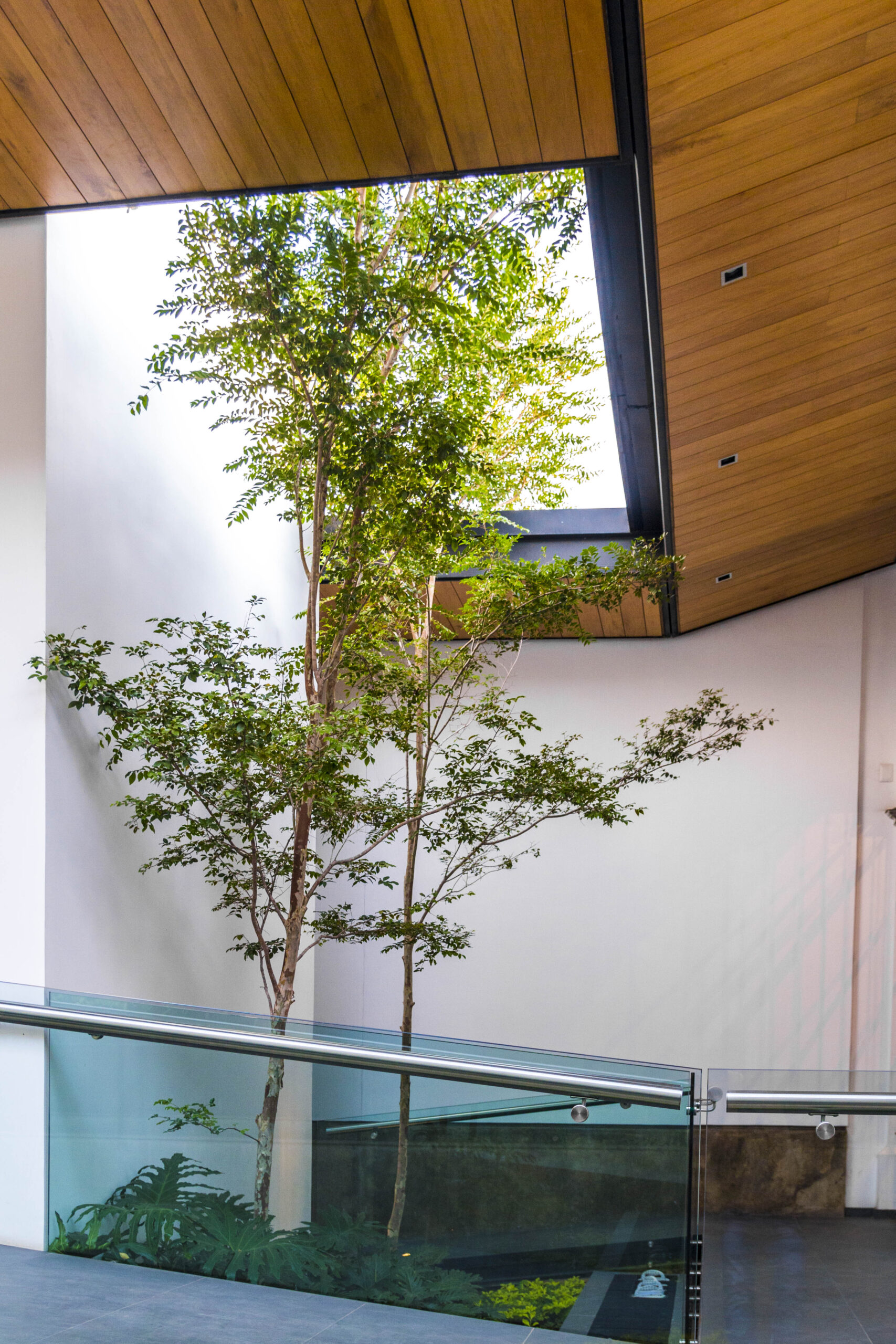 jdr - caja popular autlan - imagen - vertical - 06