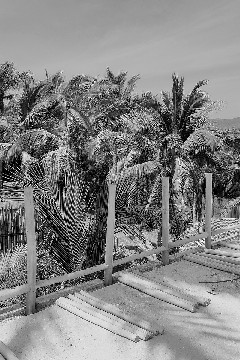 jdr-casa-monos-nn-010