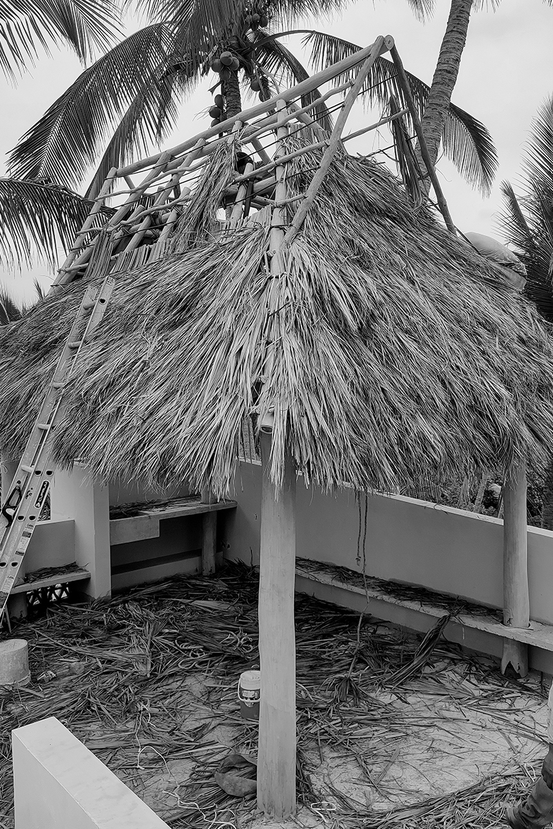 jdr-casa-monos-rr-002