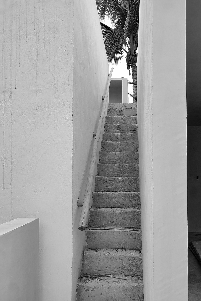 jdr-casa-monos-rr-003