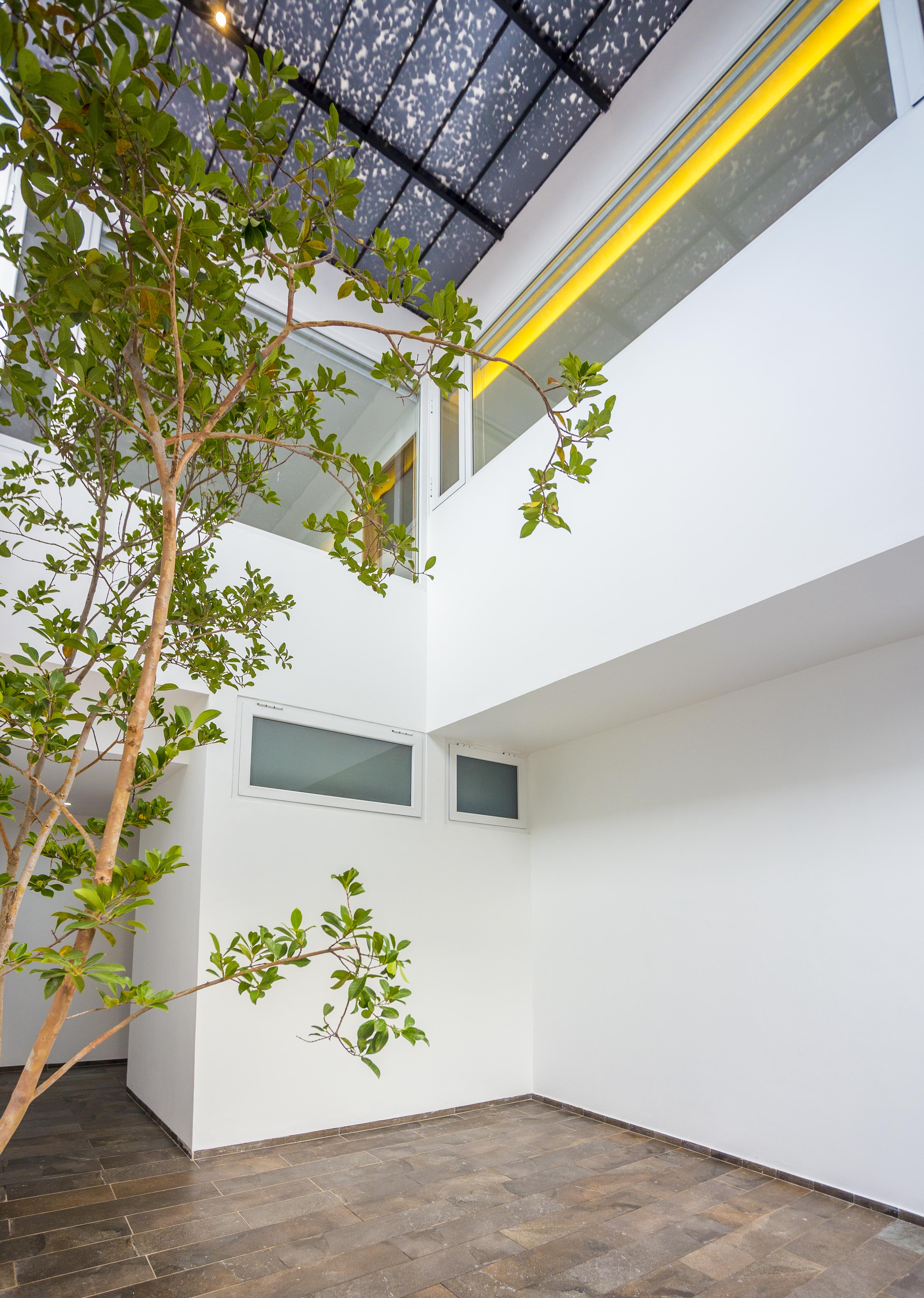 jdr-casasaldivar-imagen-vertical-18