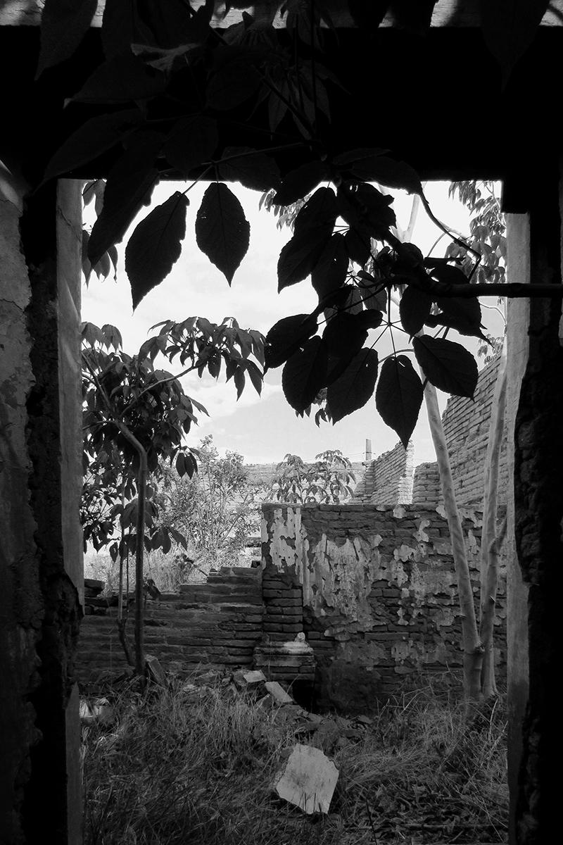 jdr-clinica-dental-ramos-003