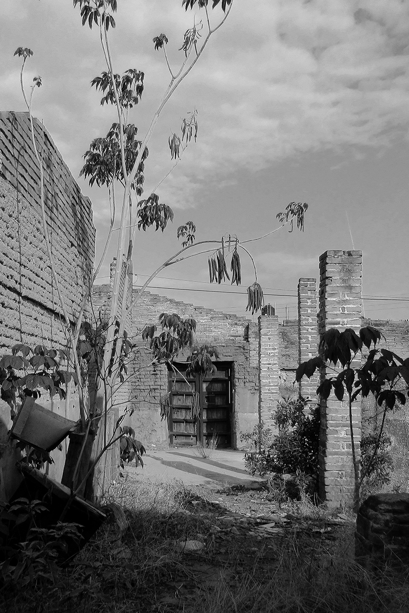 jdr-clinica-dental-ramos-004