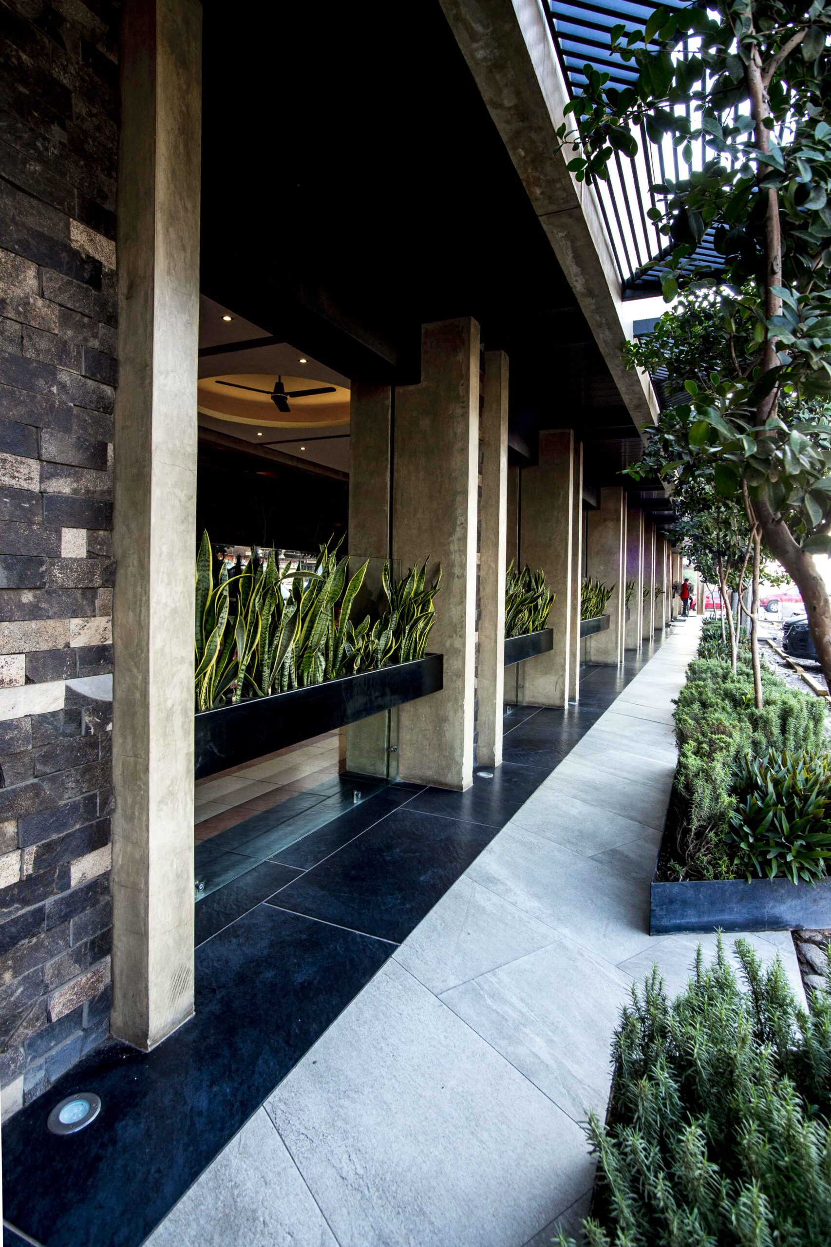 jdr-laquintaelgrullo-imagen-vertical-05