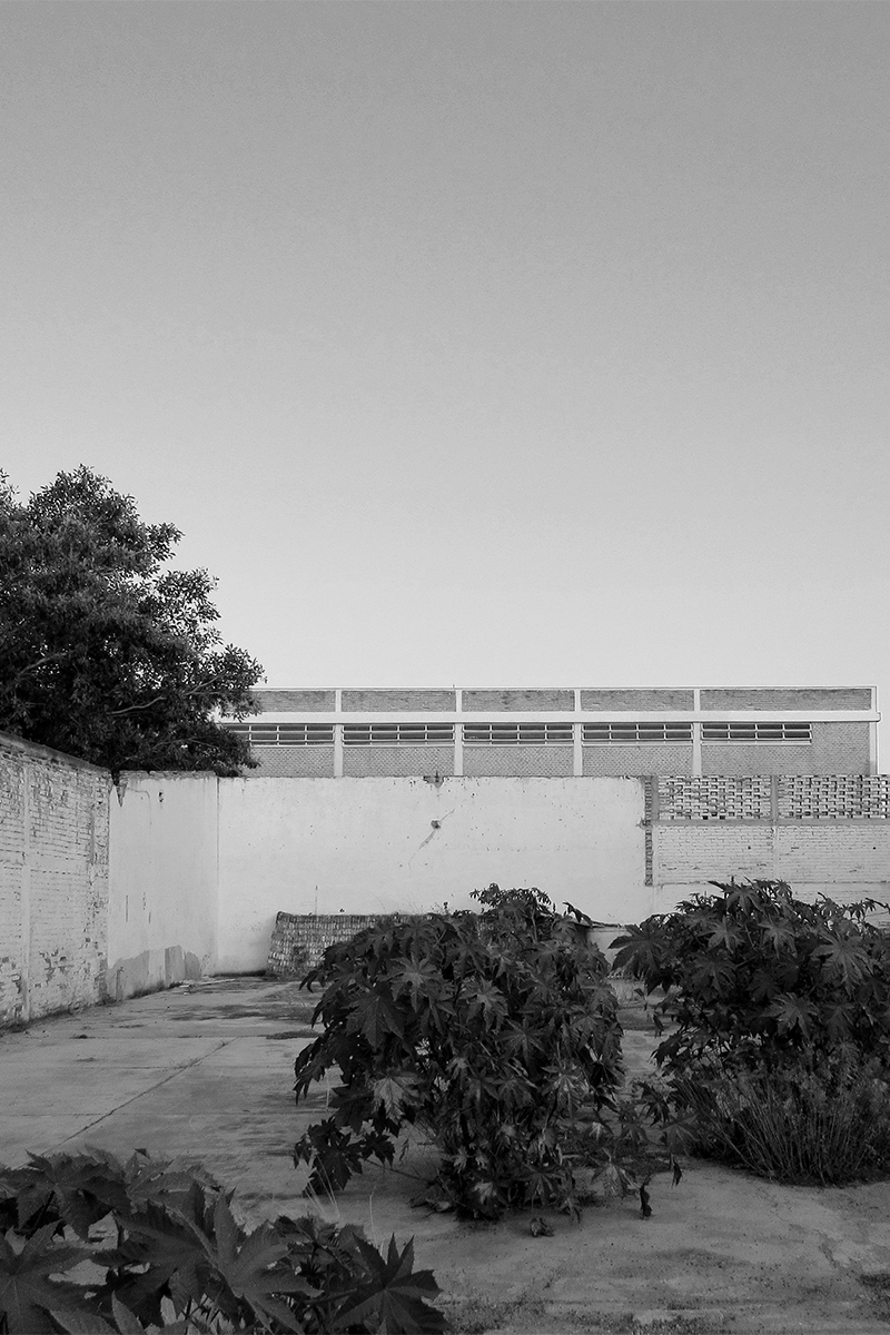 jdr-restaurante-la-quinta-autlan-003