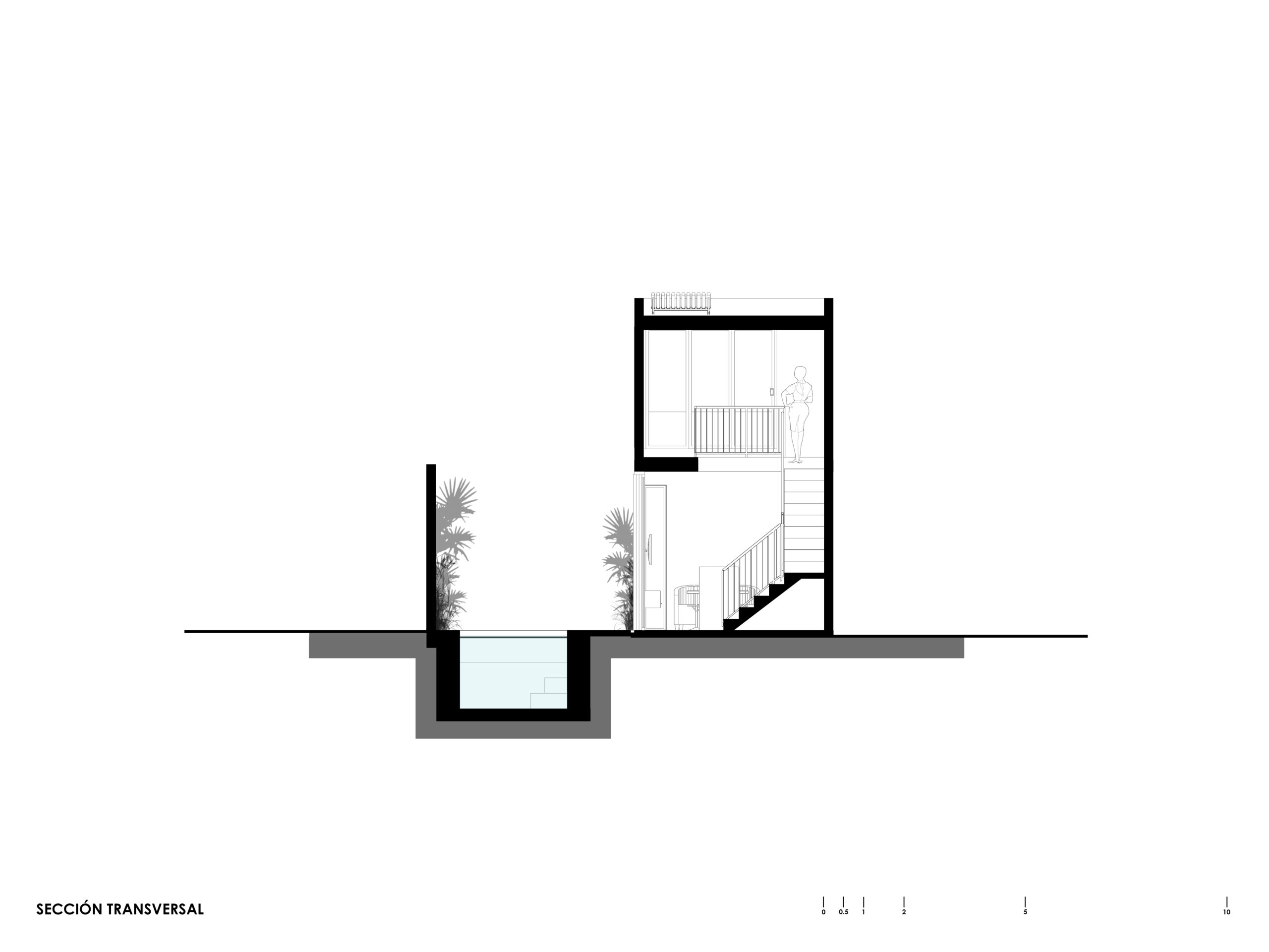 Web_Sección-Trans_02