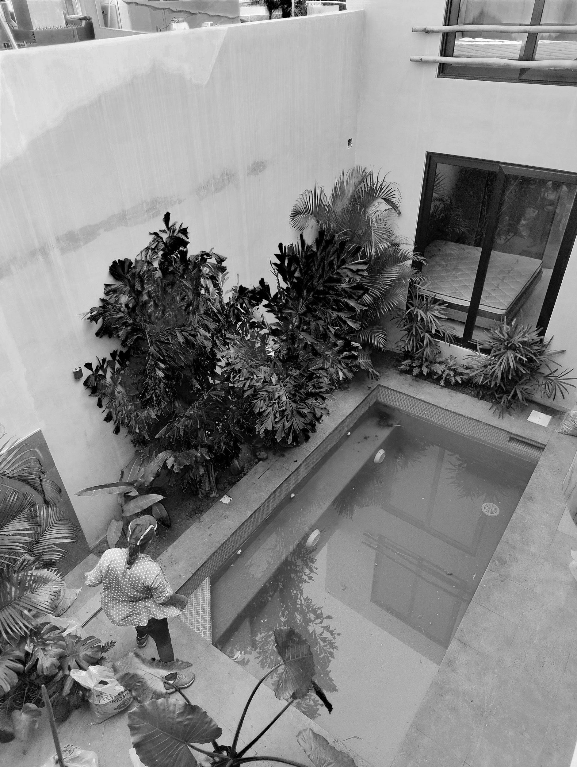 IMG_20241114_155009811_HDR_AE