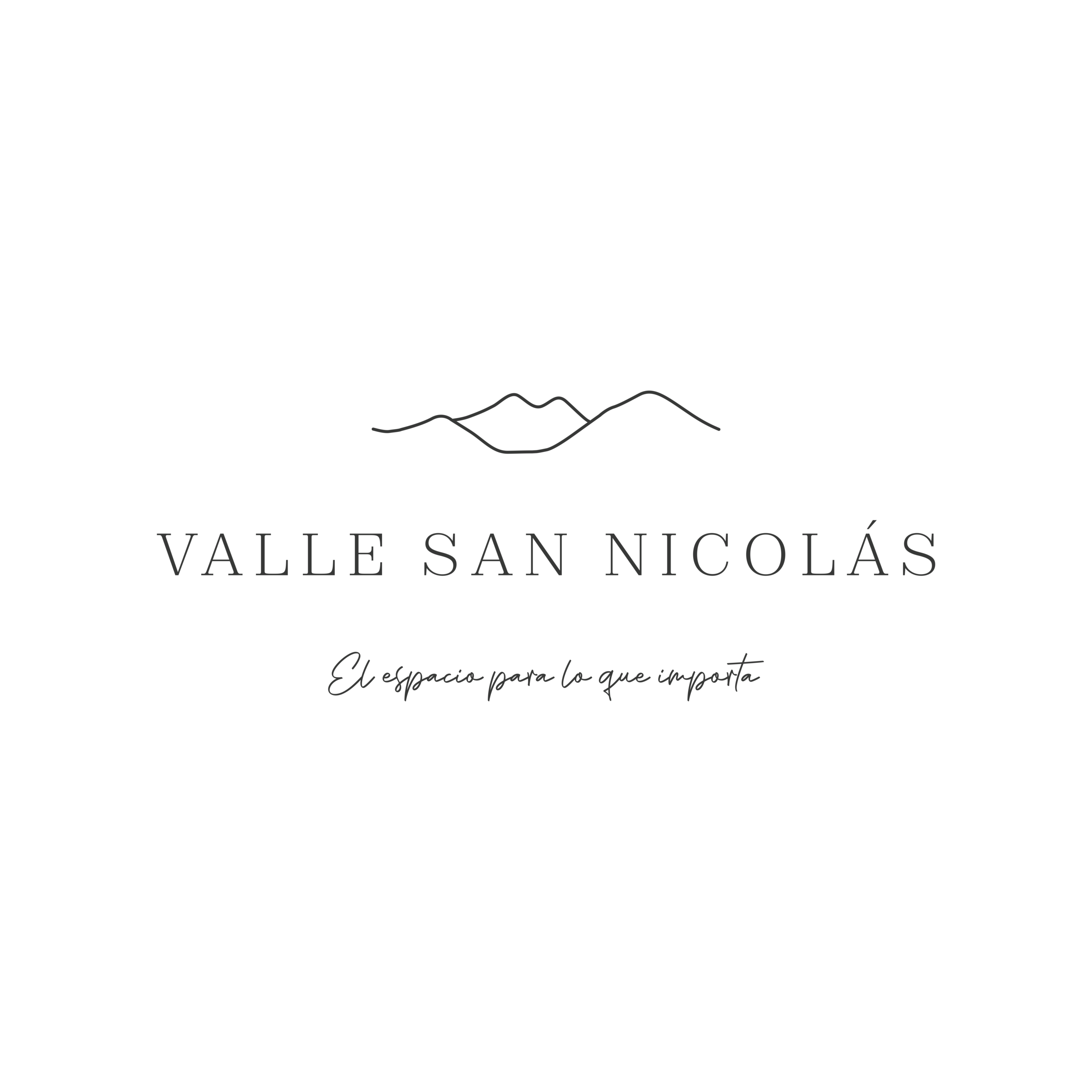 Valle San Nicolás logo